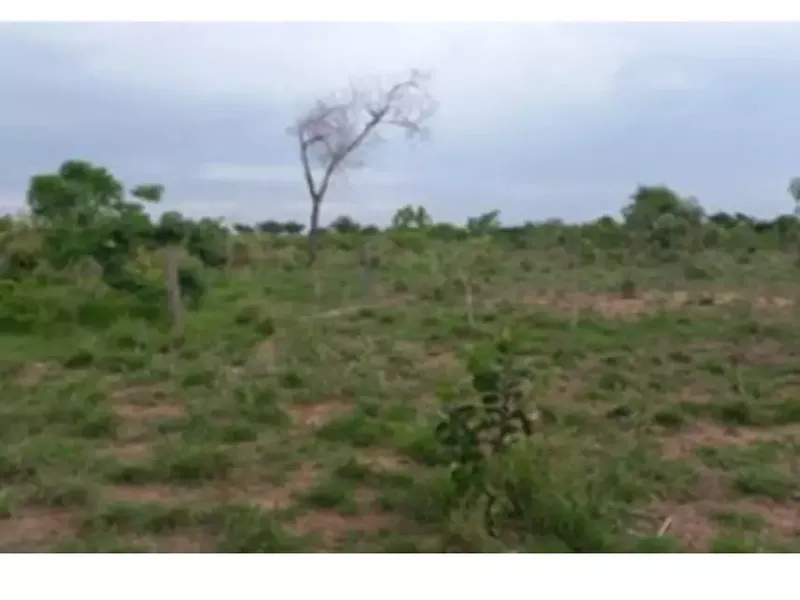 Imóvel rural em leilão