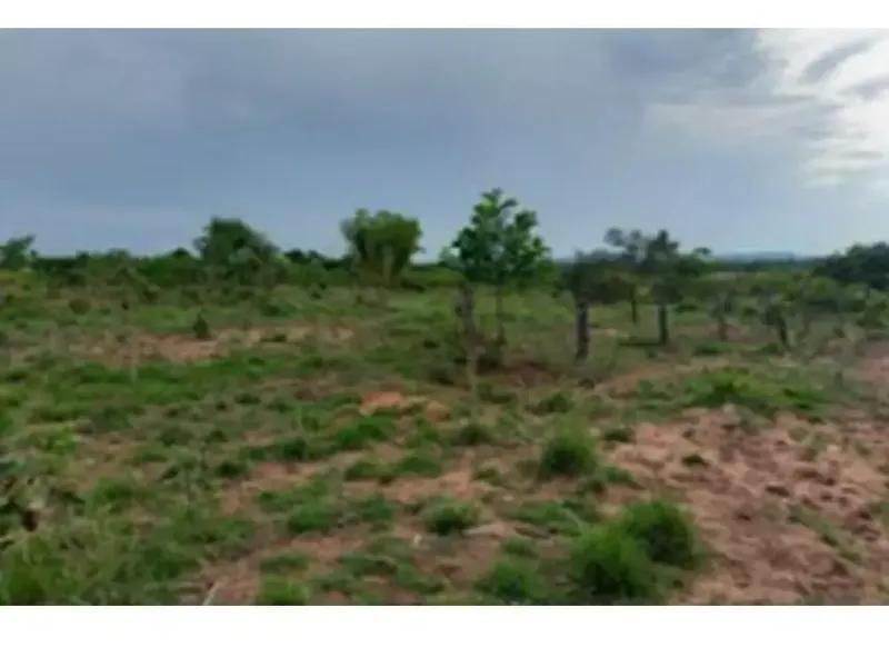 Imóvel rural em leilão