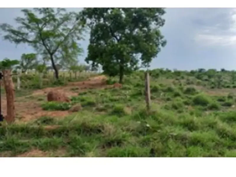 Imóvel rural em leilão