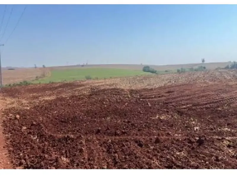 Imóvel rural em leilão