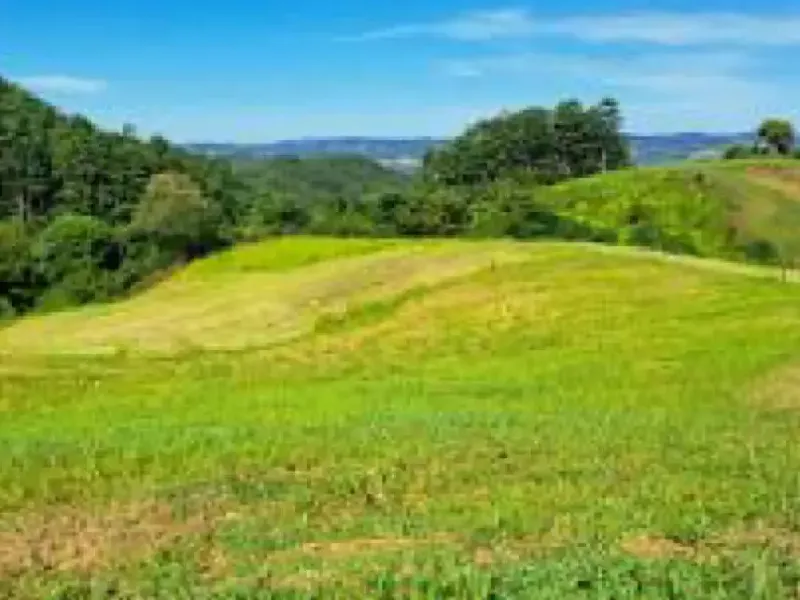 Imóvel rural em leilão