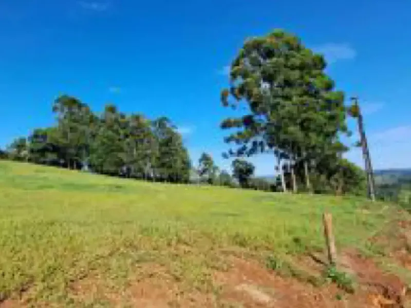 Imóvel rural em Leilão Extrajudicial