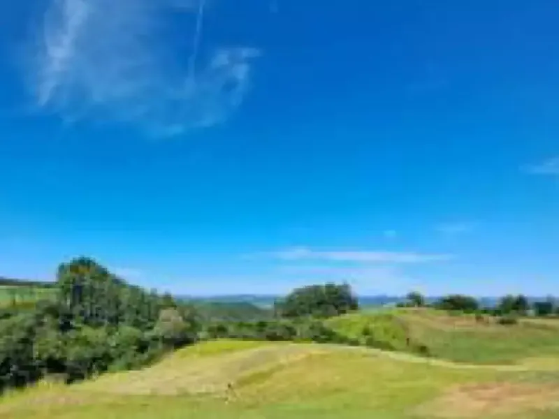 Imóvel rural em leilão