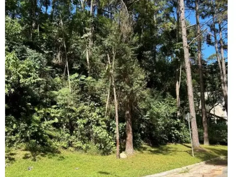 Terreno em Leilão Judicial