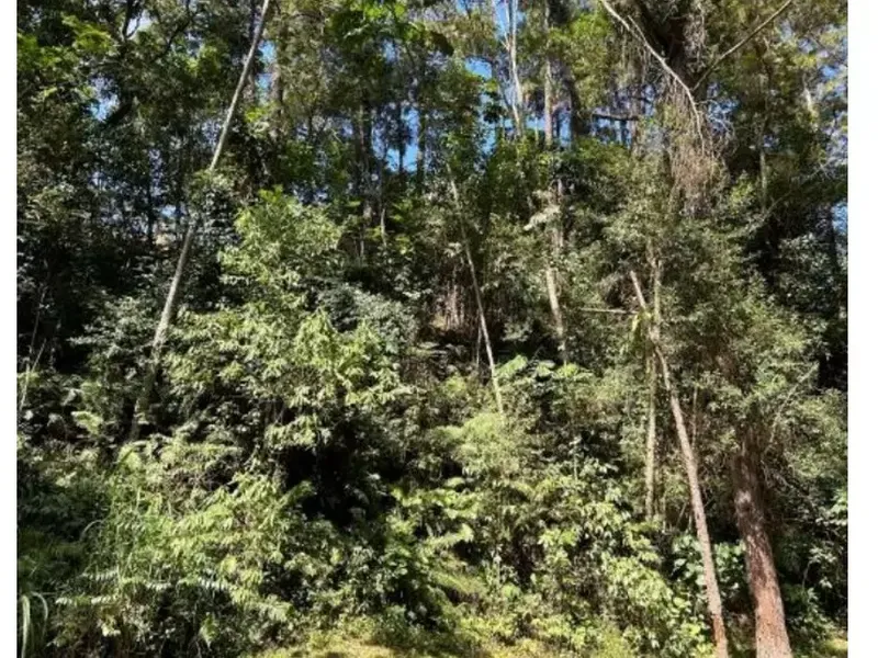 Terreno em Leilão Judicial