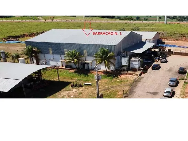 Comercial em leilão