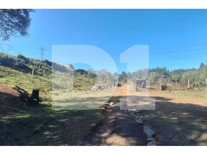 Imóvel rural em leilão