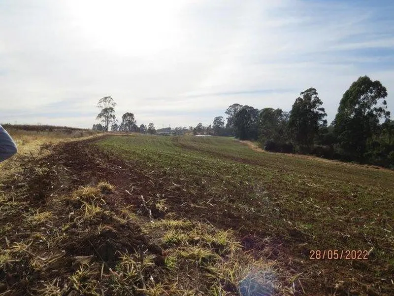 Imóvel rural em leilão