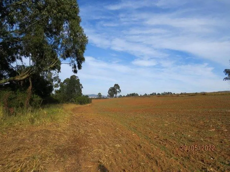 Imóvel rural em leilão