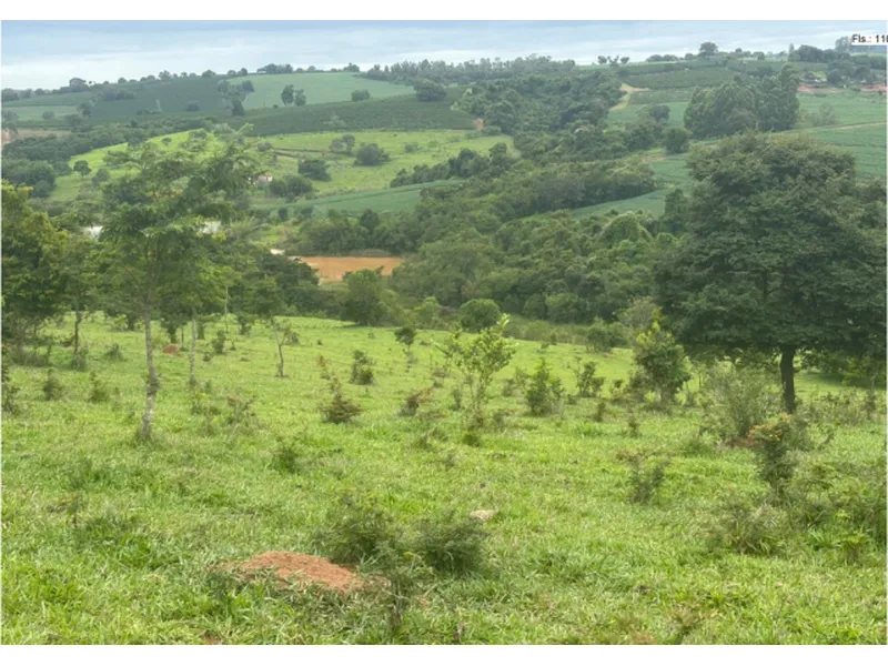 Imóvel rural em Leilão Judicial