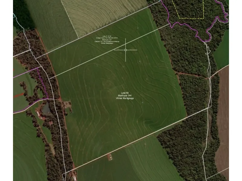 Imóvel rural em Leilão Judicial