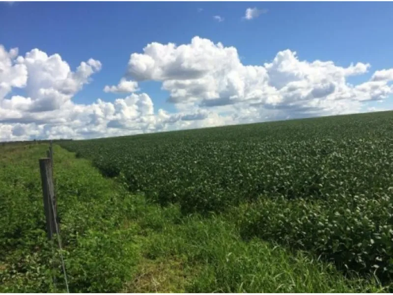 Imóvel rural em Leilão Judicial