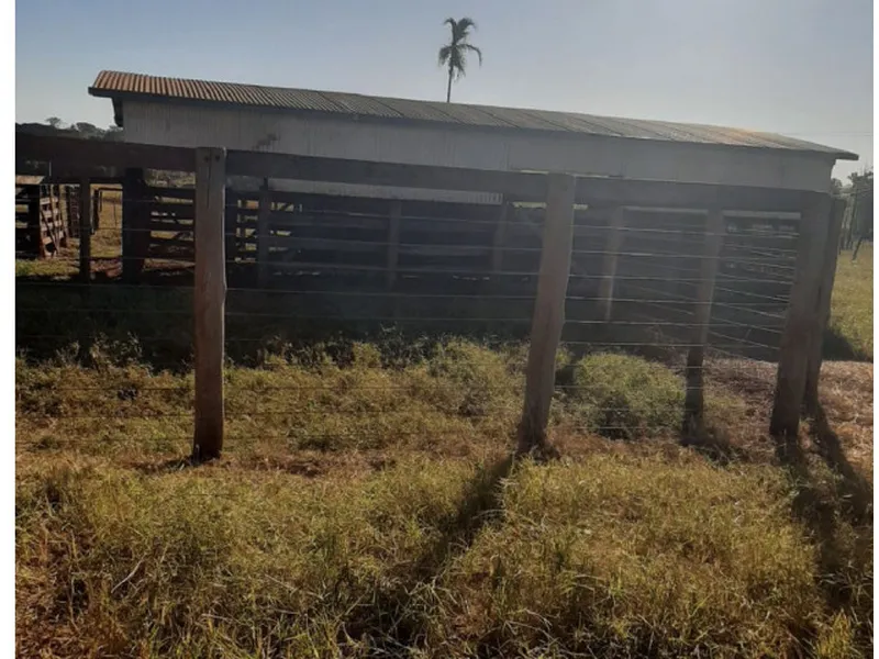 Imóvel rural em leilão