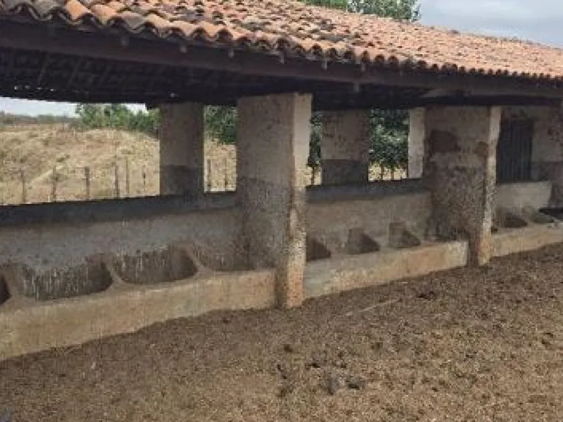 Imóvel rural em leilão