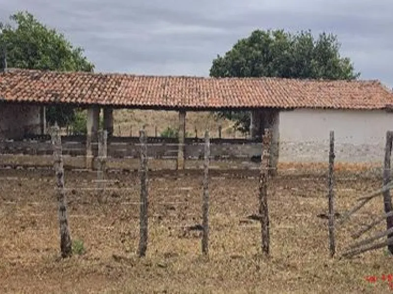 Imóvel rural em leilão