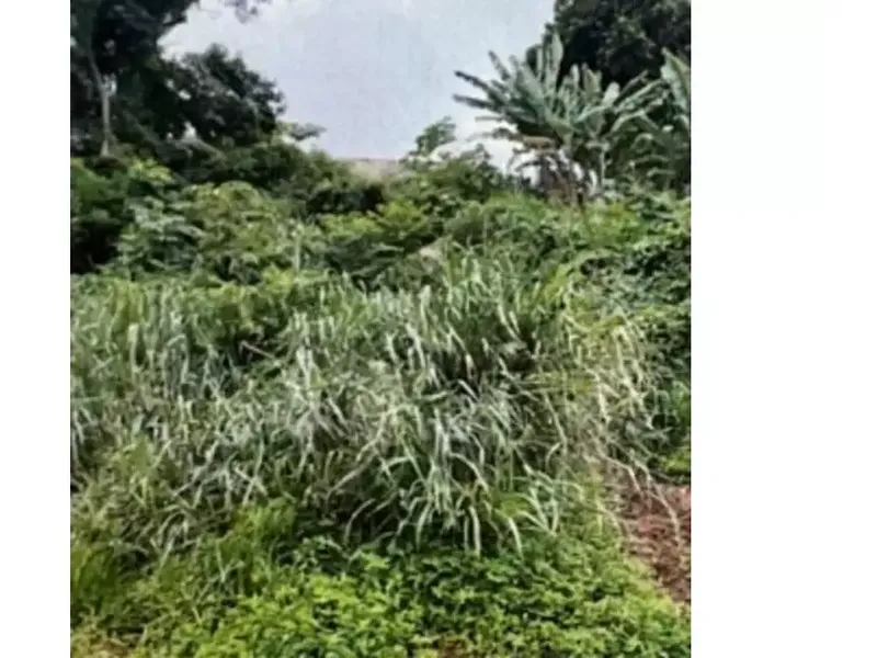 Terreno em Leilão Judicial