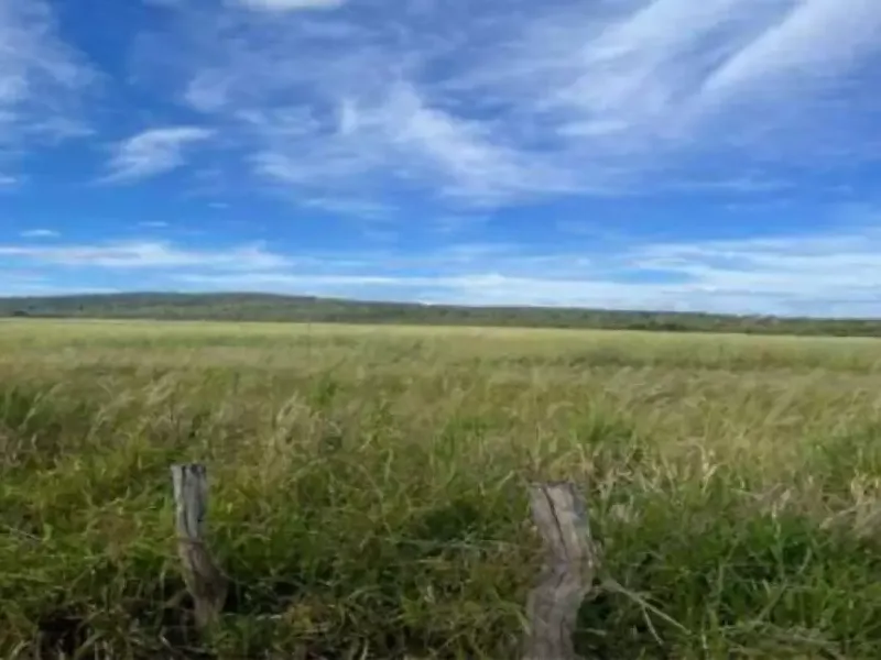 Imóvel rural em Leilão Extrajudicial