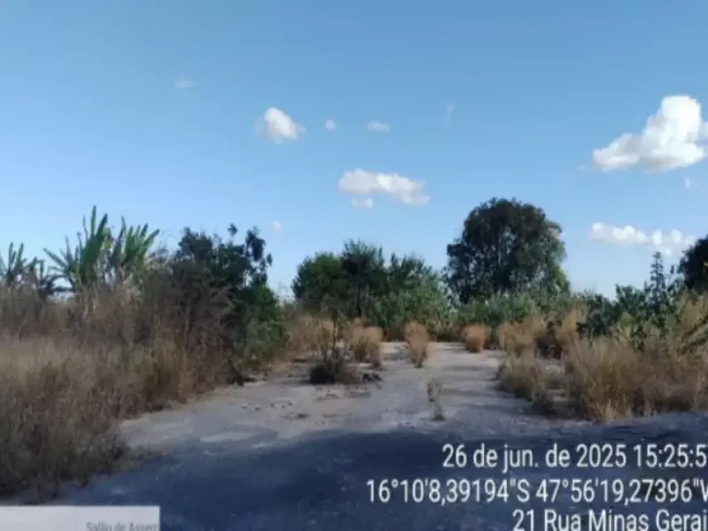 Imóvel rural em leilão