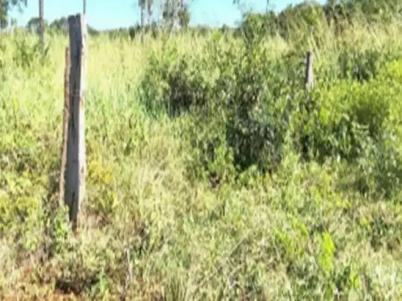 Imóvel rural em Leilão Extrajudicial