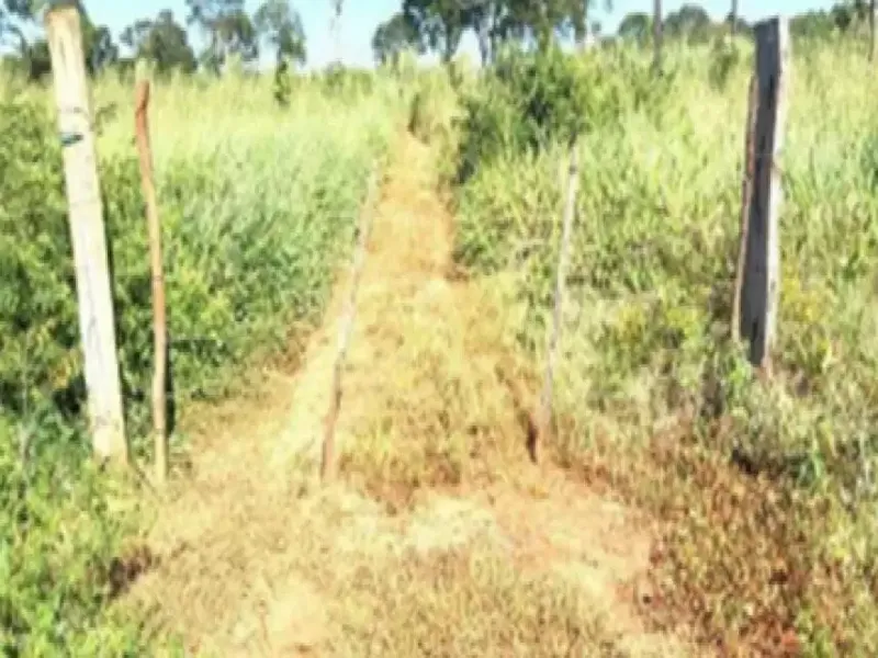 Imóvel rural em Leilão Extrajudicial