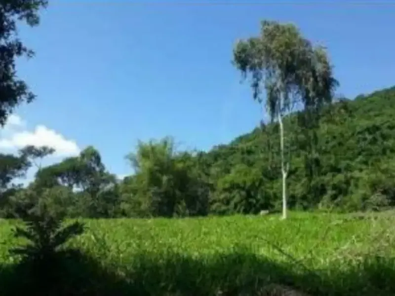 Imóvel rural em Leilão Extrajudicial