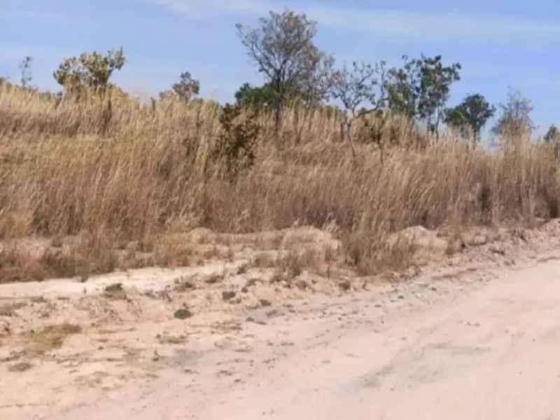 Imóvel rural em leilão