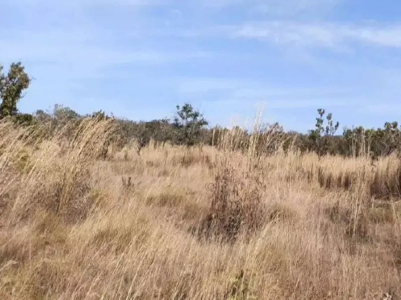 Imóvel rural em Leilão Extrajudicial