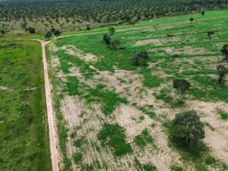 Imóvel rural em Leilão Extrajudicial