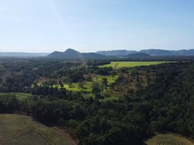 Imóvel rural em Leilão Extrajudicial
