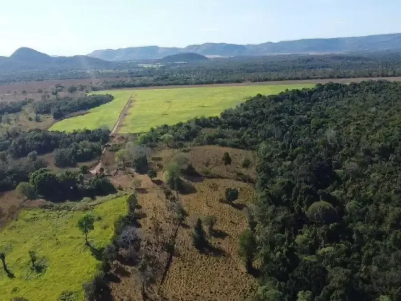 Imóvel rural em leilão