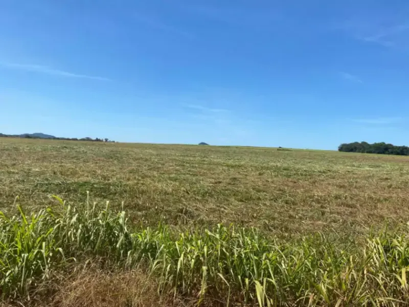 Imóvel rural em leilão