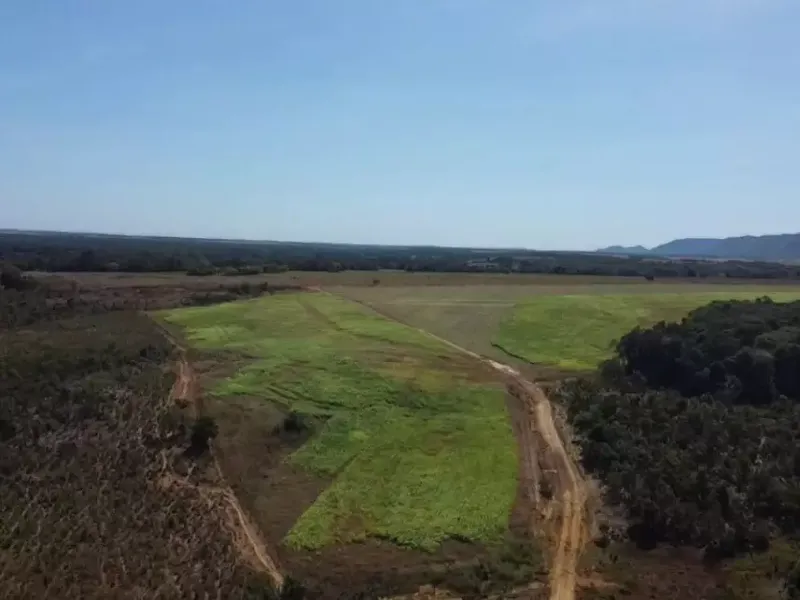 Imóvel rural em leilão