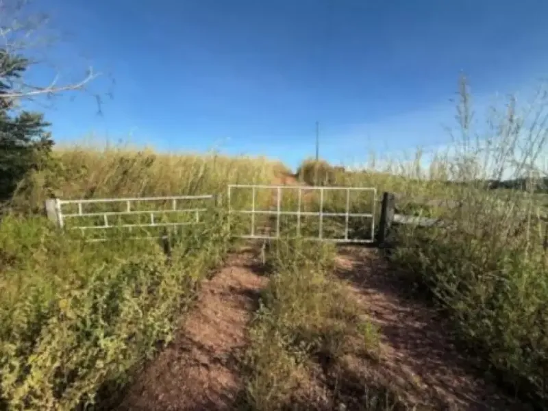 Imóvel rural em leilão