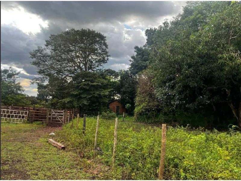 Imóvel rural em leilão