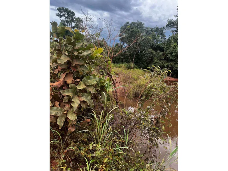 Imóvel rural em leilão