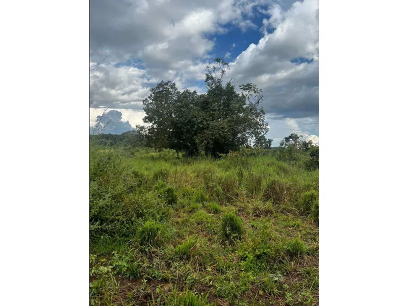 Imóvel rural em leilão