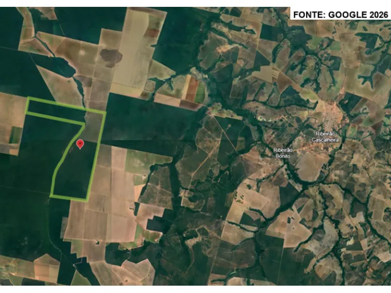 Imóvel rural em Leilão Judicial