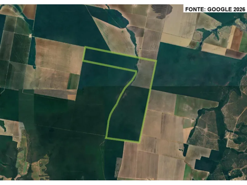 Imóvel rural em leilão