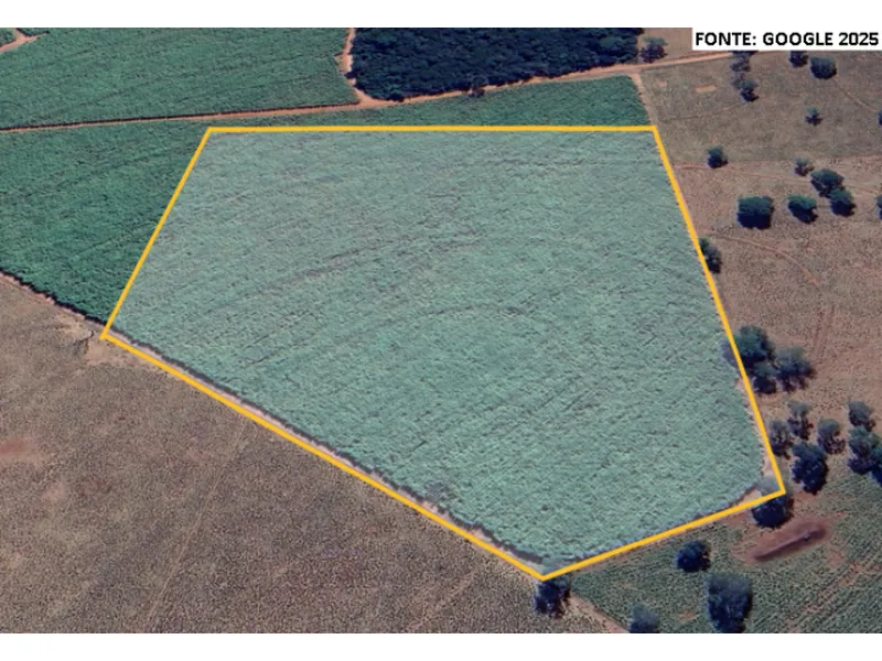 Imóvel rural em leilão