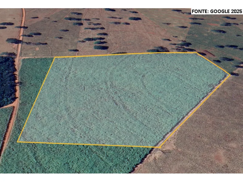 Imóvel rural em Leilão Judicial