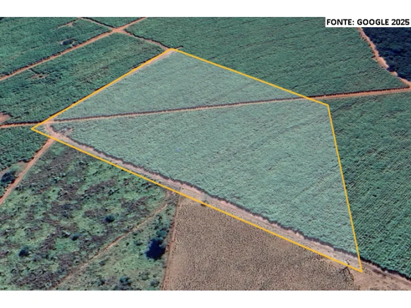 Imóvel rural em leilão