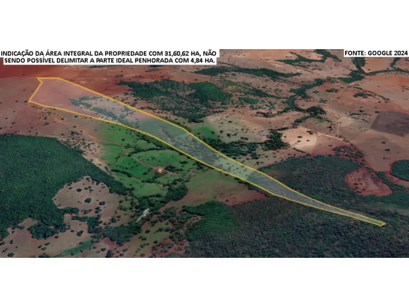 Imóvel rural em leilão