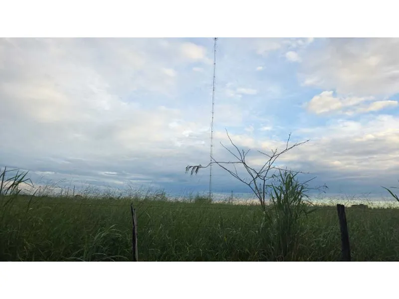 Imóvel rural em leilão