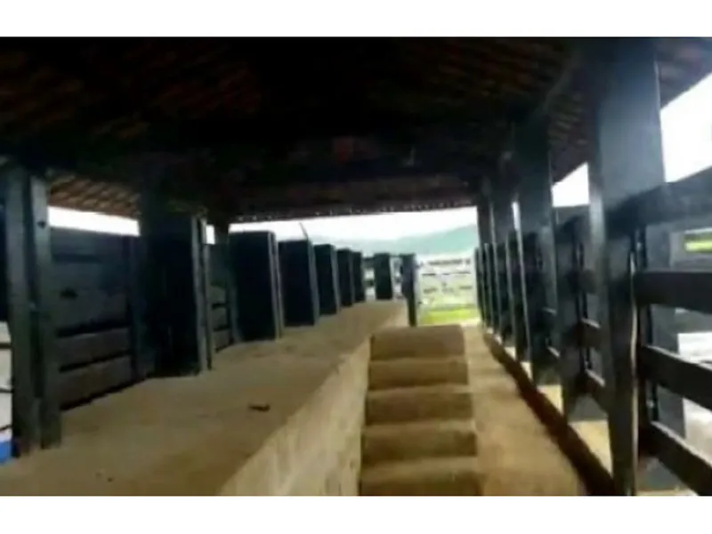 Imóvel rural em leilão