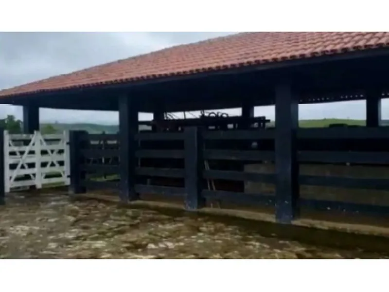 Imóvel rural em leilão