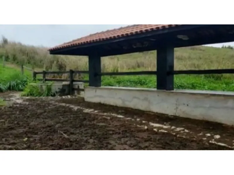 Imóvel rural em leilão