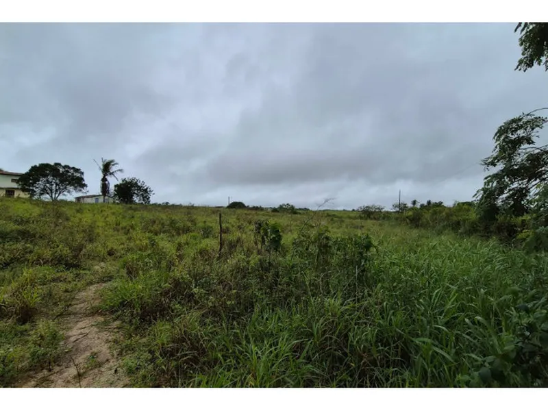 Imóvel rural em leilão