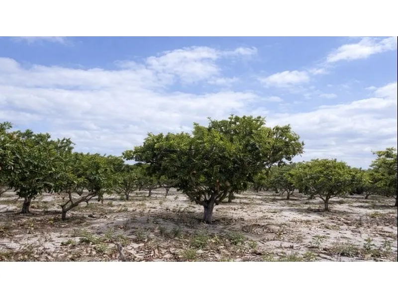 Outros em Leilão Extrajudicial