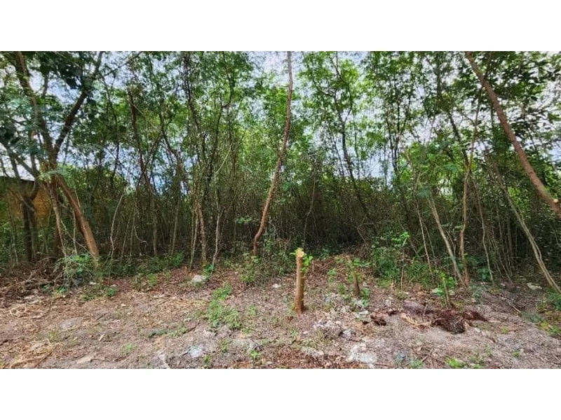 Outros em Leilão Extrajudicial