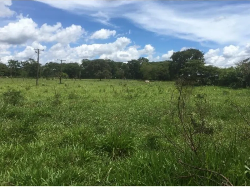 Imóvel rural em Leilão Judicial